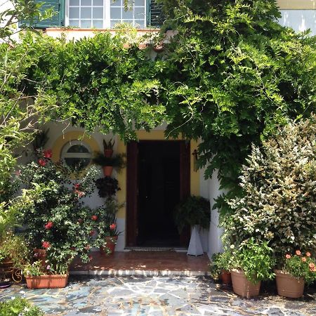 Apartament A Casa Do Lagar Azeitão Zewnętrze zdjęcie