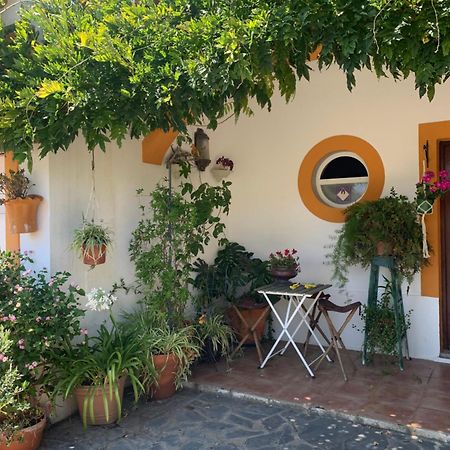 Apartament A Casa Do Lagar Azeitão Zewnętrze zdjęcie