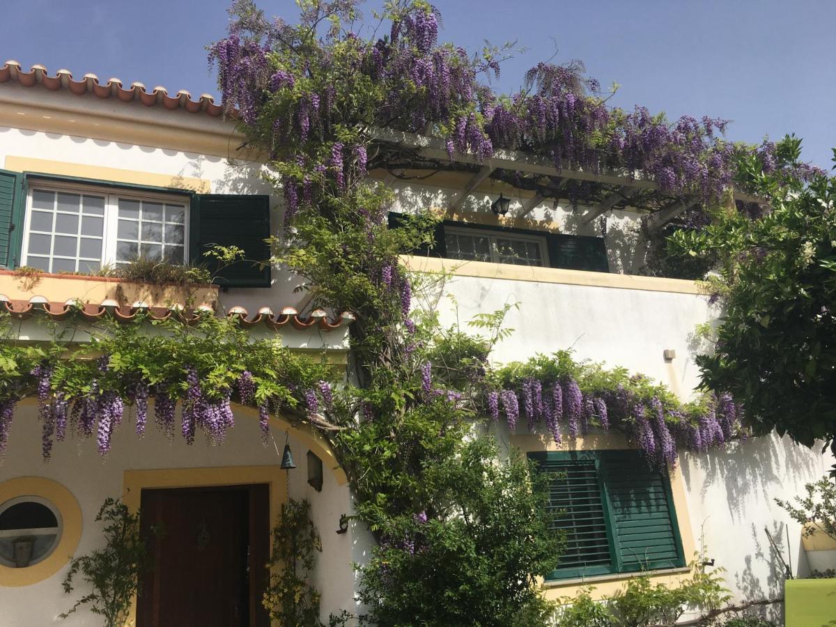 Apartament A Casa Do Lagar Azeitão Zewnętrze zdjęcie