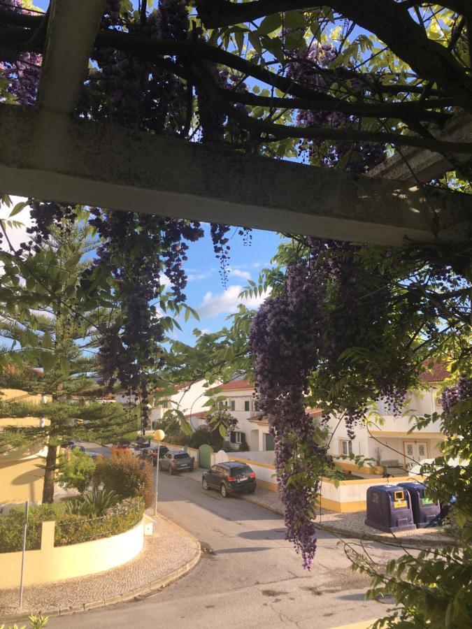 Apartament A Casa Do Lagar Azeitão Zewnętrze zdjęcie