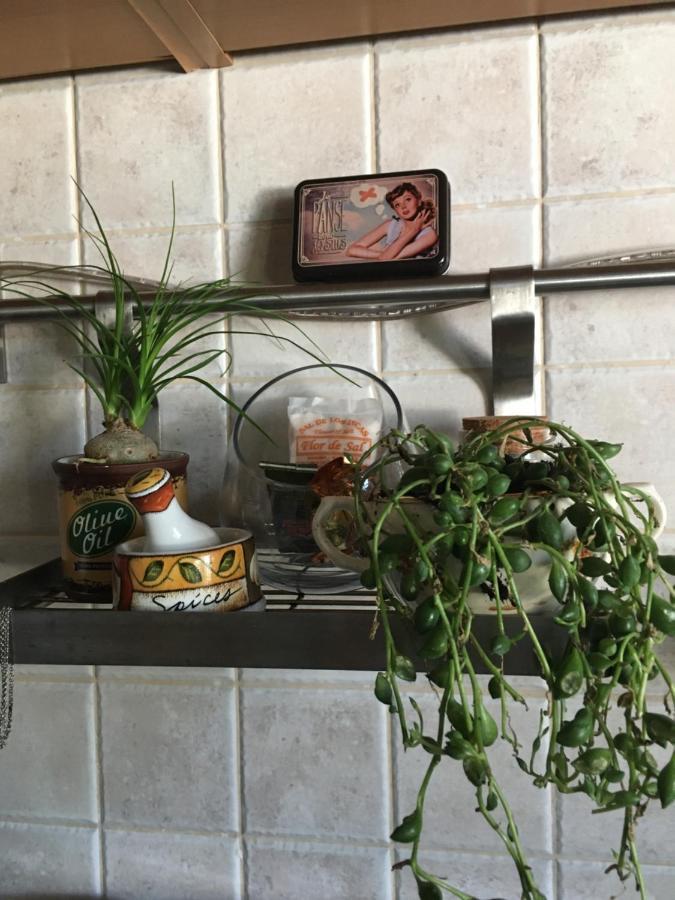 Apartament A Casa Do Lagar Azeitão Zewnętrze zdjęcie