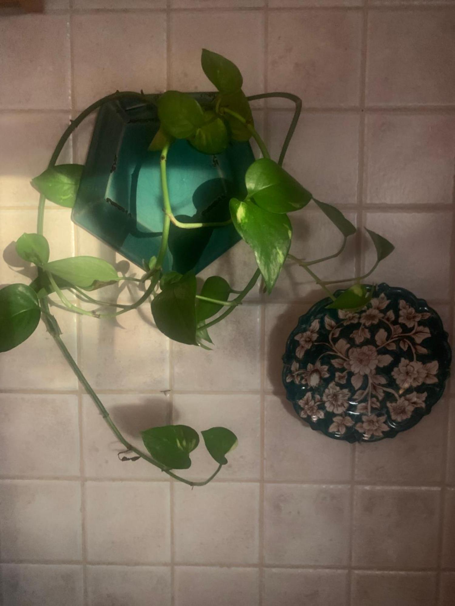 Apartament A Casa Do Lagar Azeitão Zewnętrze zdjęcie