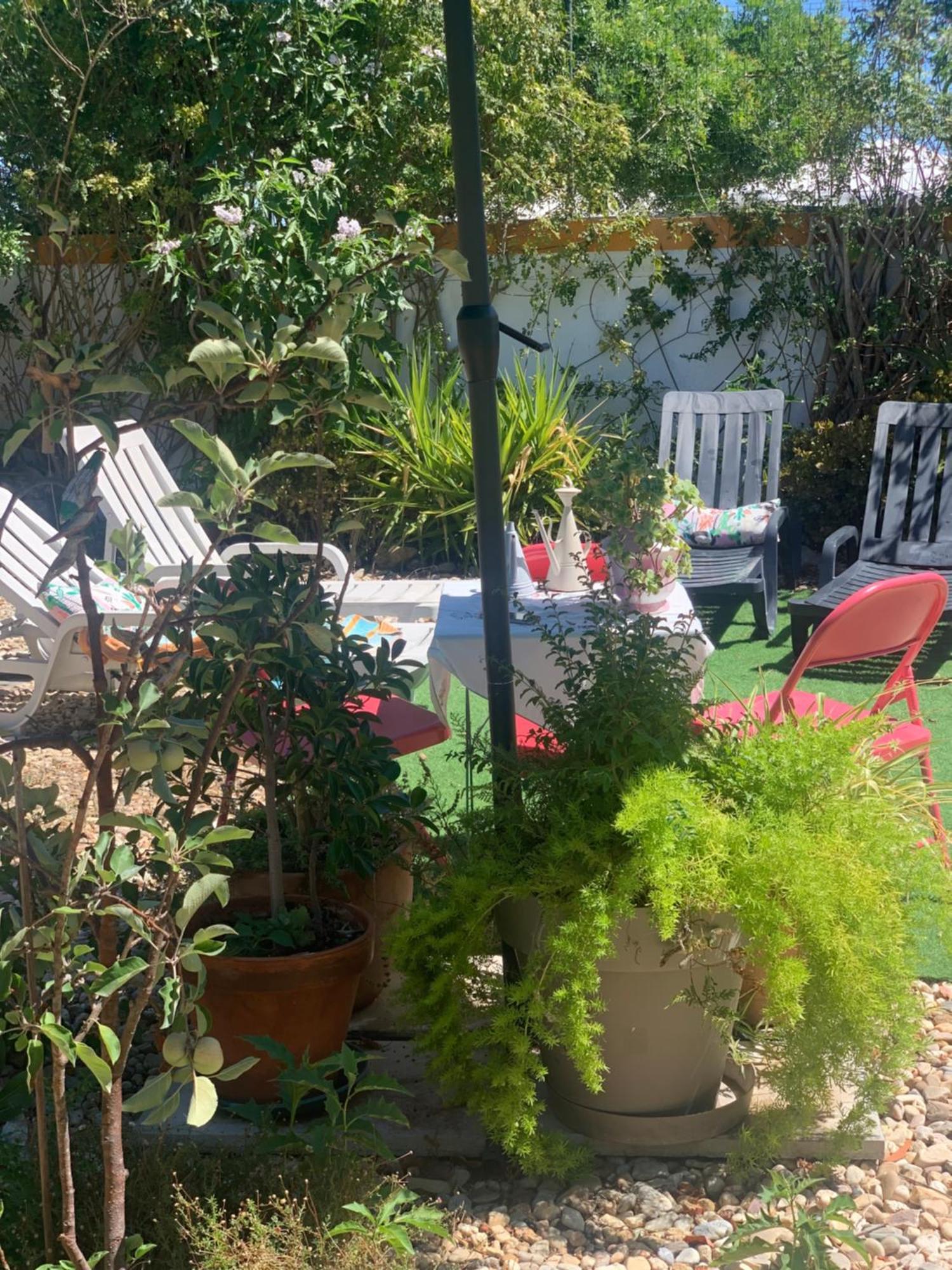 Apartament A Casa Do Lagar Azeitão Zewnętrze zdjęcie