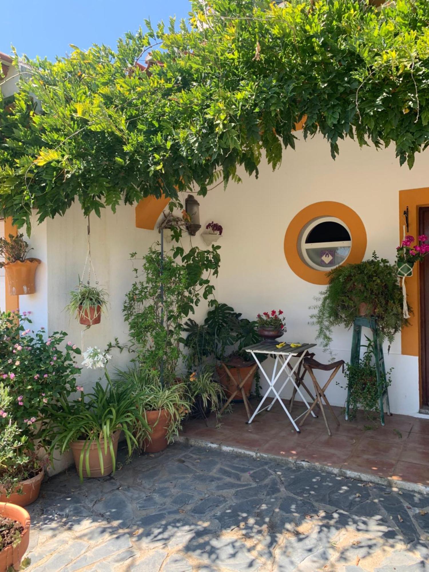 Apartament A Casa Do Lagar Azeitão Zewnętrze zdjęcie