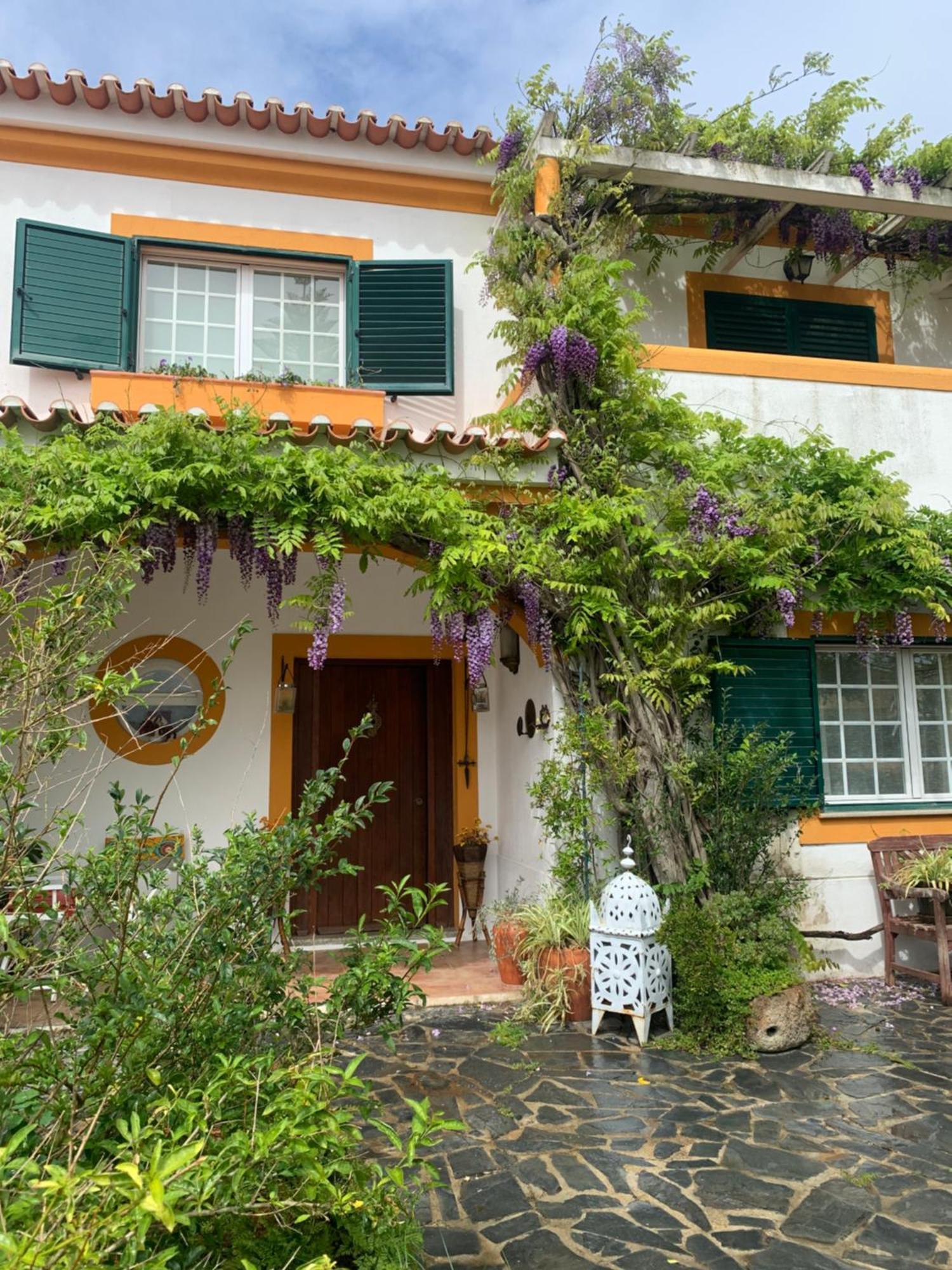 Apartament A Casa Do Lagar Azeitão Zewnętrze zdjęcie