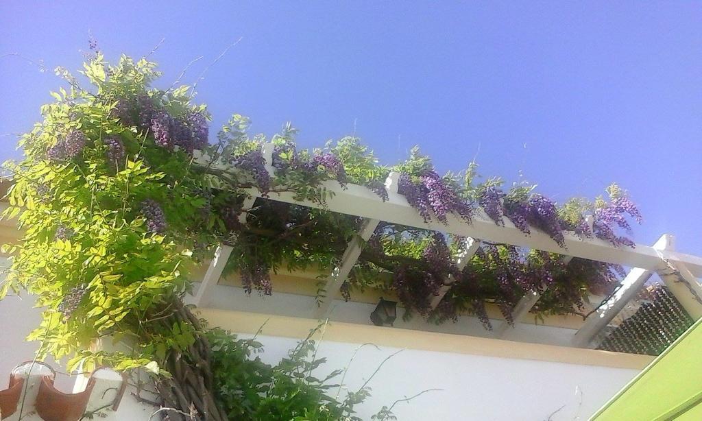 Apartament A Casa Do Lagar Azeitão Pokój zdjęcie