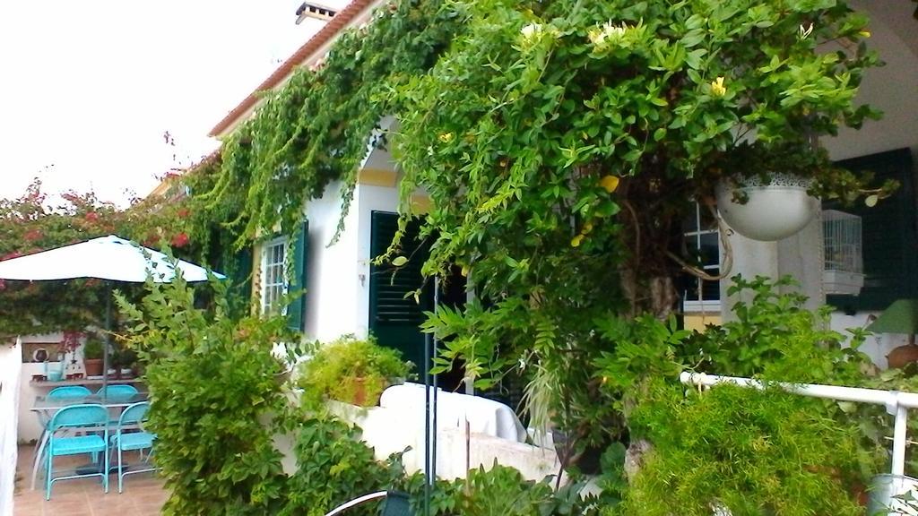 Apartament A Casa Do Lagar Azeitão Zewnętrze zdjęcie