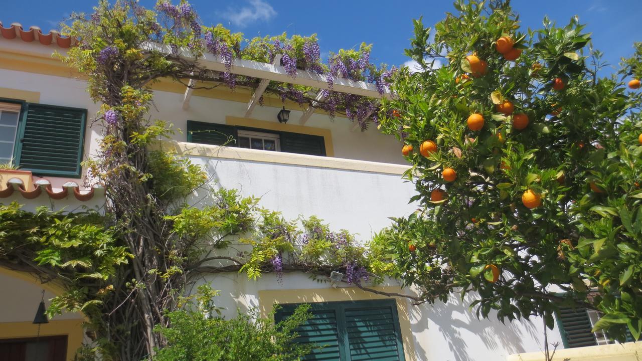 Apartament A Casa Do Lagar Azeitão Zewnętrze zdjęcie