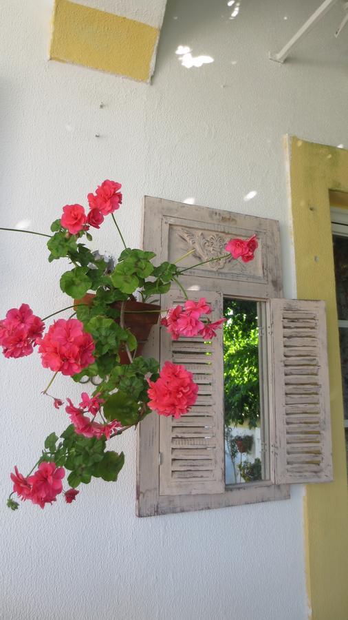 Apartament A Casa Do Lagar Azeitão Zewnętrze zdjęcie